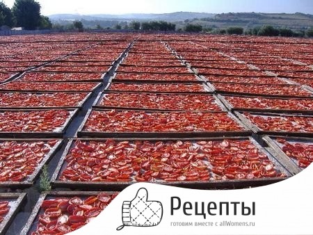 1432627590_612.-vyalenye-pomidor