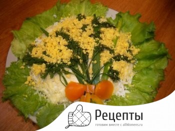 1401270382_salaty-bez-varki-2