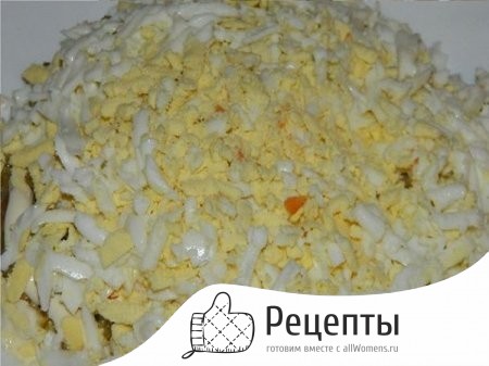 1490553135_salat-podsolnuh-s-kukuruzoy-10