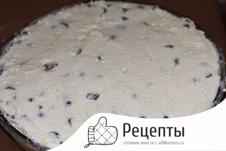 1486640225_pechenaya-tvorozhnaya-pasxa-6