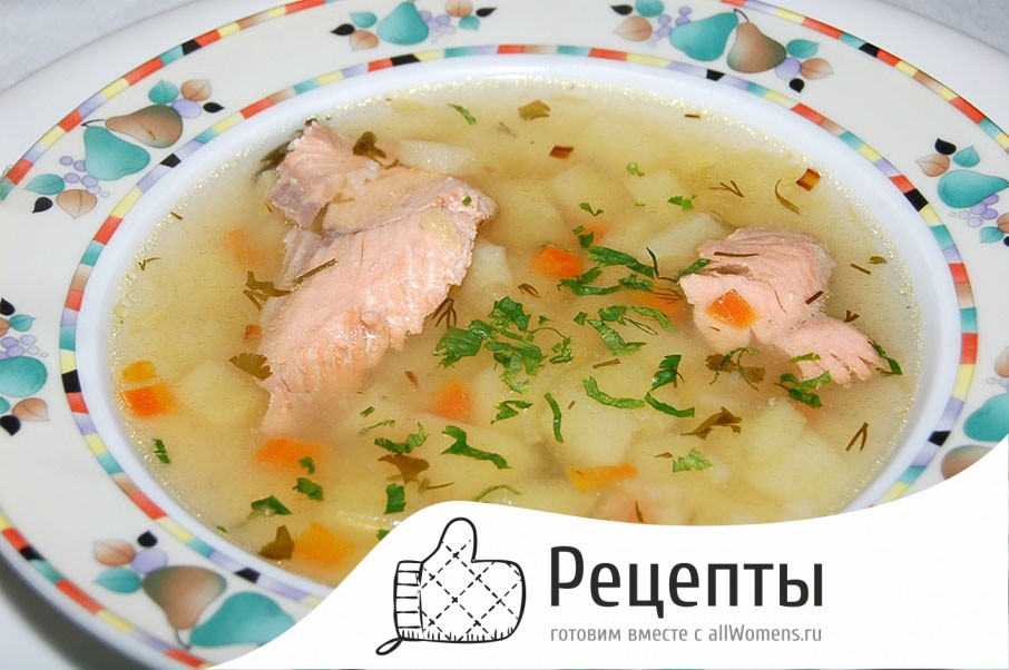 Суп с консервированной горбушей - рецепт с фотографиями - Patee. Рецепты